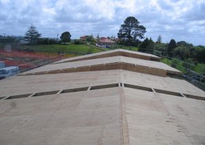 Hope Construction Ltd Project- Te Kura School 9]